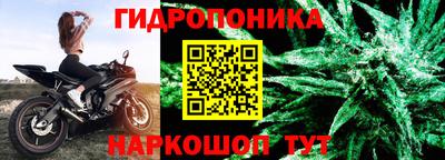 гашик Канаш
