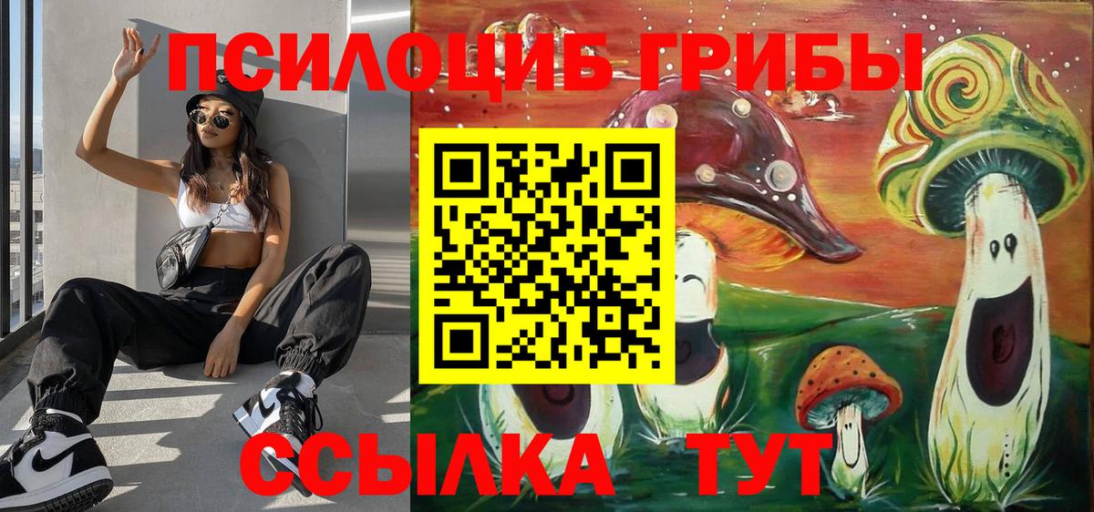 Галлюциногенные грибы MAGIC MUSHROOMS  Вход с VPN  Кумертау 